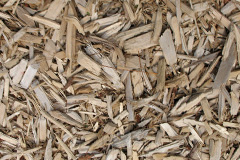 biomass boilers Cockersdale